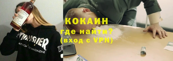 стаф Няндома