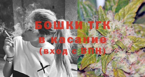 стаф Няндома