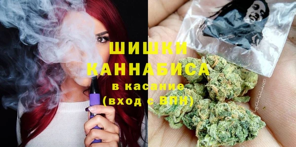 стаф Няндома
