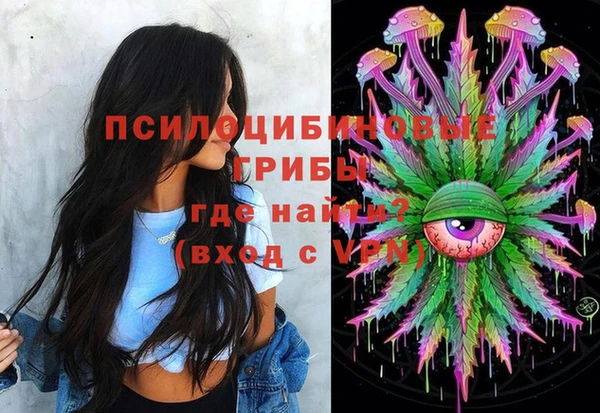 стаф Няндома