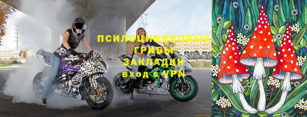 стаф Няндома