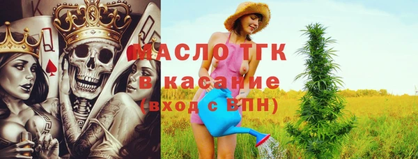 стаф Няндома