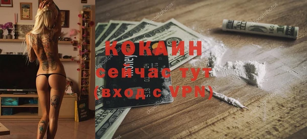 стаф Няндома