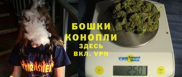 стаф Няндома